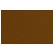 Бумага для пастели "Tiziano" 50*65 см, 160 г/м2, кофейный