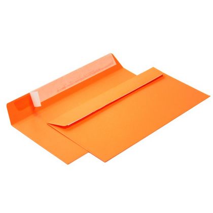 конверт 114 х229, С65, оранжевый, 120г, силикон. зам. 1 шт.