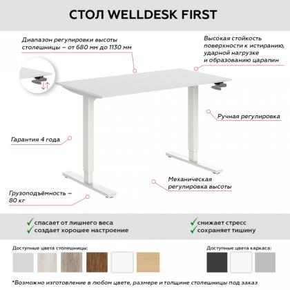 Комплект с мех. приводом WellDesk First, цвет серый, столешница ДСП 1395х800х28, Пепел 621 PE