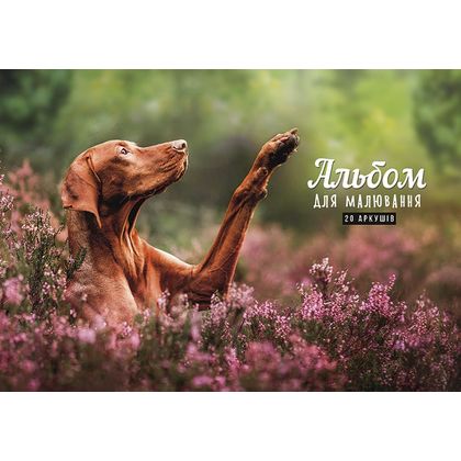 Альбом д/рисования A4 20 л. "Animals", на склейке, ассорти