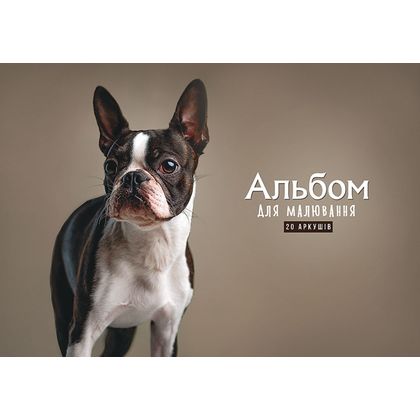 Альбом д/рисования A4 20 л. "Animals", на склейке, ассорти