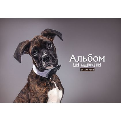 Альбом д/рисования A4 20 л. "Animals", на склейке, ассорти