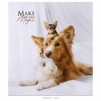 Тетрадь А5 48 л., клет. "Make your own magic" скоба сбоку, обл. карт., УФ-лак, ассорти