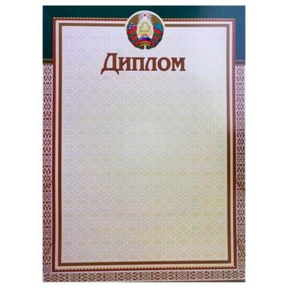 Диплом без степени 13С319
