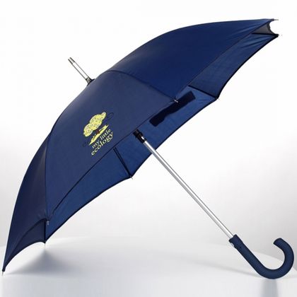 Зонт-трость автомат. 100 см, ручка пласт. "Limoges" синий
