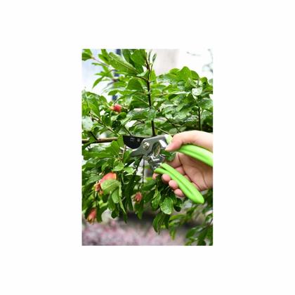 Секатор садовый цельнокованный Deli GS EDL580207 пружина, тефлон, 215 мм