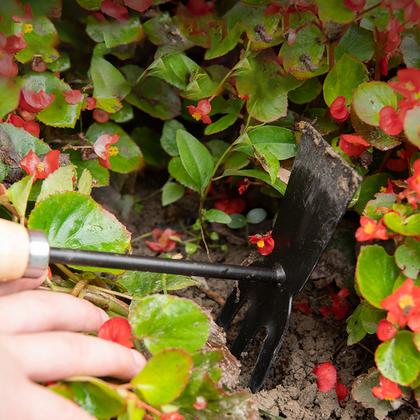 Набор садовых инструментов "Deli" 310 мм, дерев. ручка, черный, 3 шт.