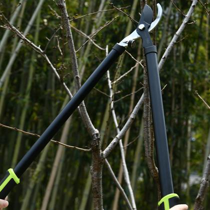 Набор садовых инструментов Deli GS EDL580002, 2 предмета, сучкорез, секатор