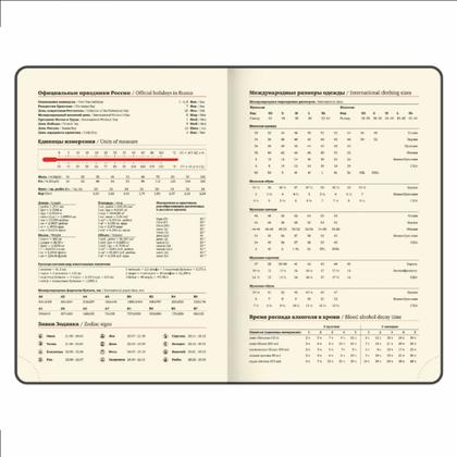 Ежедневник датир. А5 213*138 мм, 336 стр., лин. "Accent" тверд. обл. кожзам, красный 2026