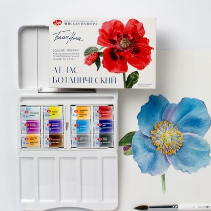 Краски акварельные "Белые ночи Ботанический атлас" набор 12 цв., кюветы
