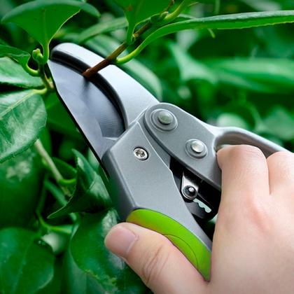 Секатор садовый "Deli" 200 мм, пласт. ручка, зеленый