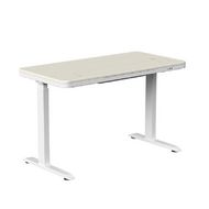 Стол с электроприводом двухмоторный AOKE AK-GT09-YZB2-S, цвет белый/береза (AOKE HOME WOOD)